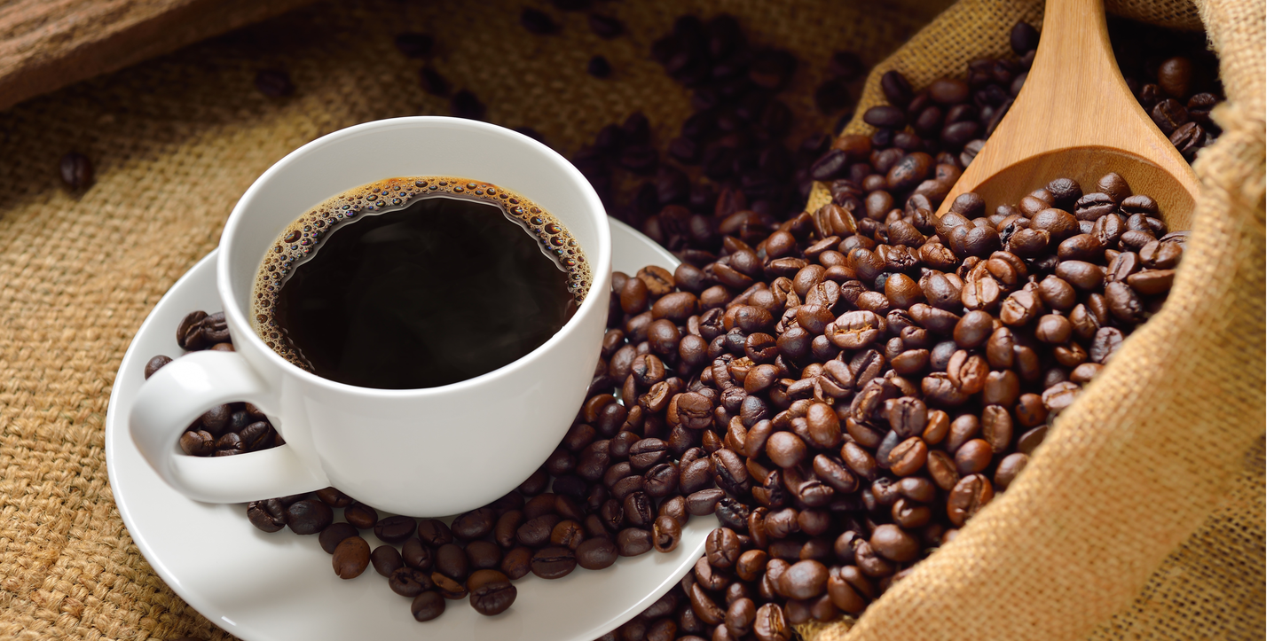 Single Origin Favorites Sample Pack